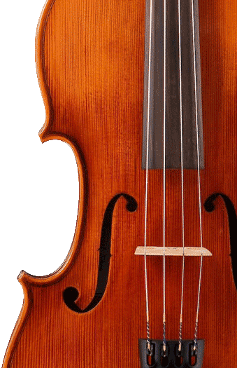 Violn Graphic
